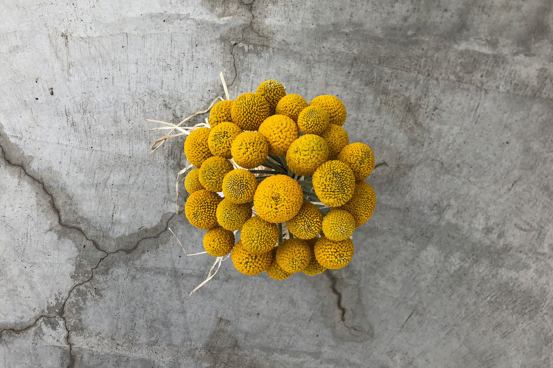 栃木、宇都宮、花屋、花束