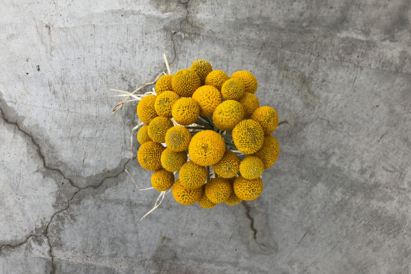 栃木、宇都宮、花屋、花束