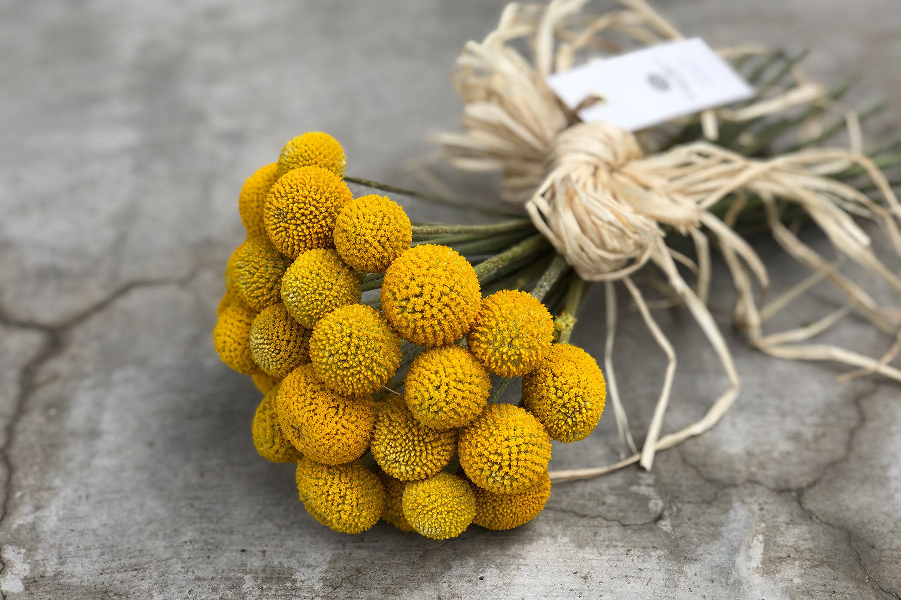 栃木、宇都宮、花屋、花束