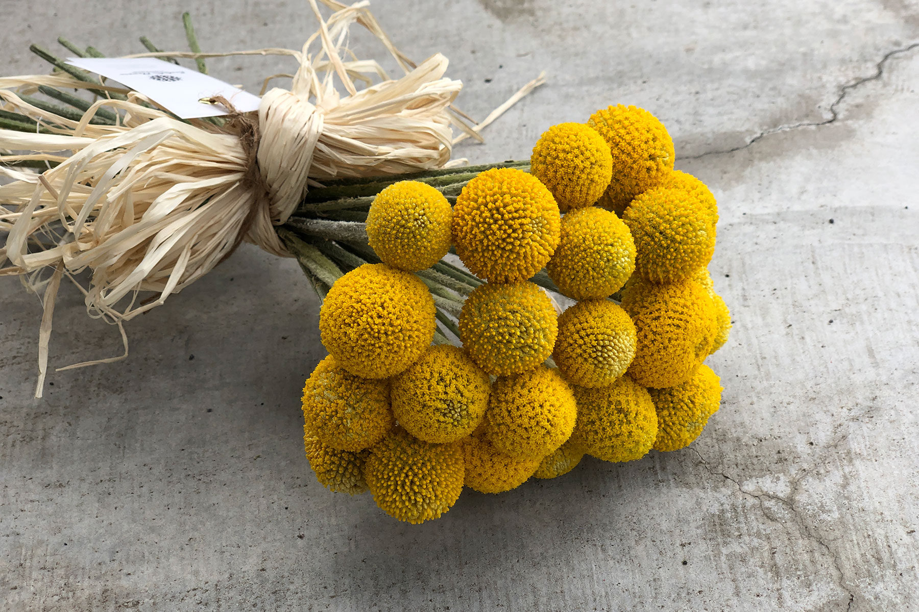 栃木、宇都宮、花屋、花束